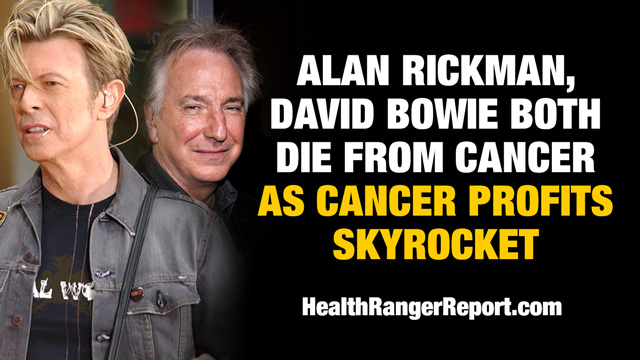 Alan-Rickman-David-Bowie-Cancer-Profits-Skyrocket