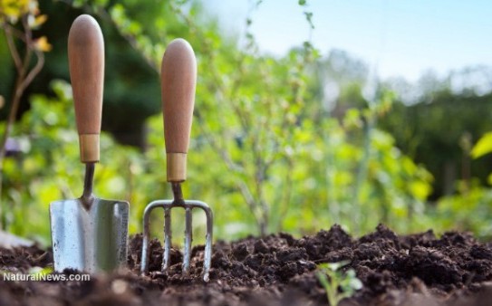 Gardening-Tools