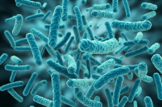 Bacteria-Virus-Cell-3d-4
